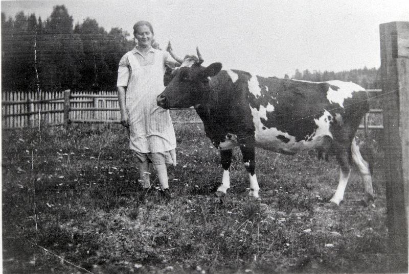 Ratavartijan vaimo lehmänsä kanssa