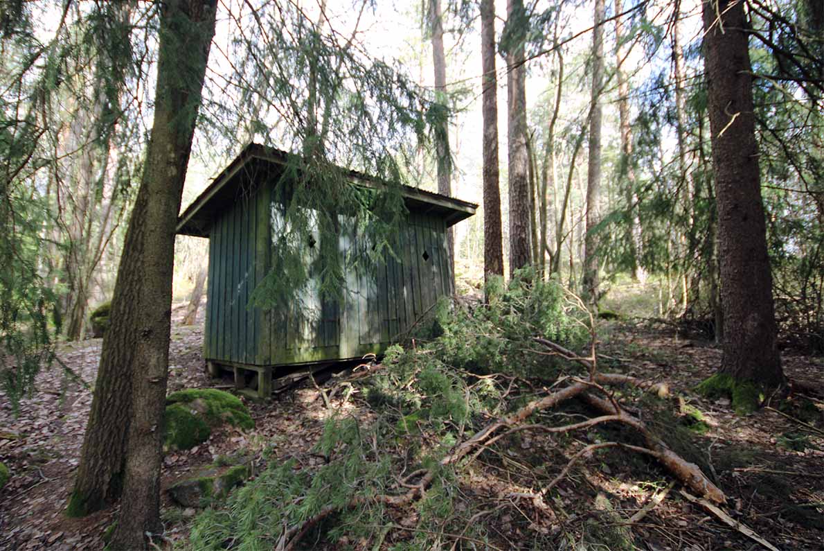 Nuoriseurantalo Logen, Espoo.