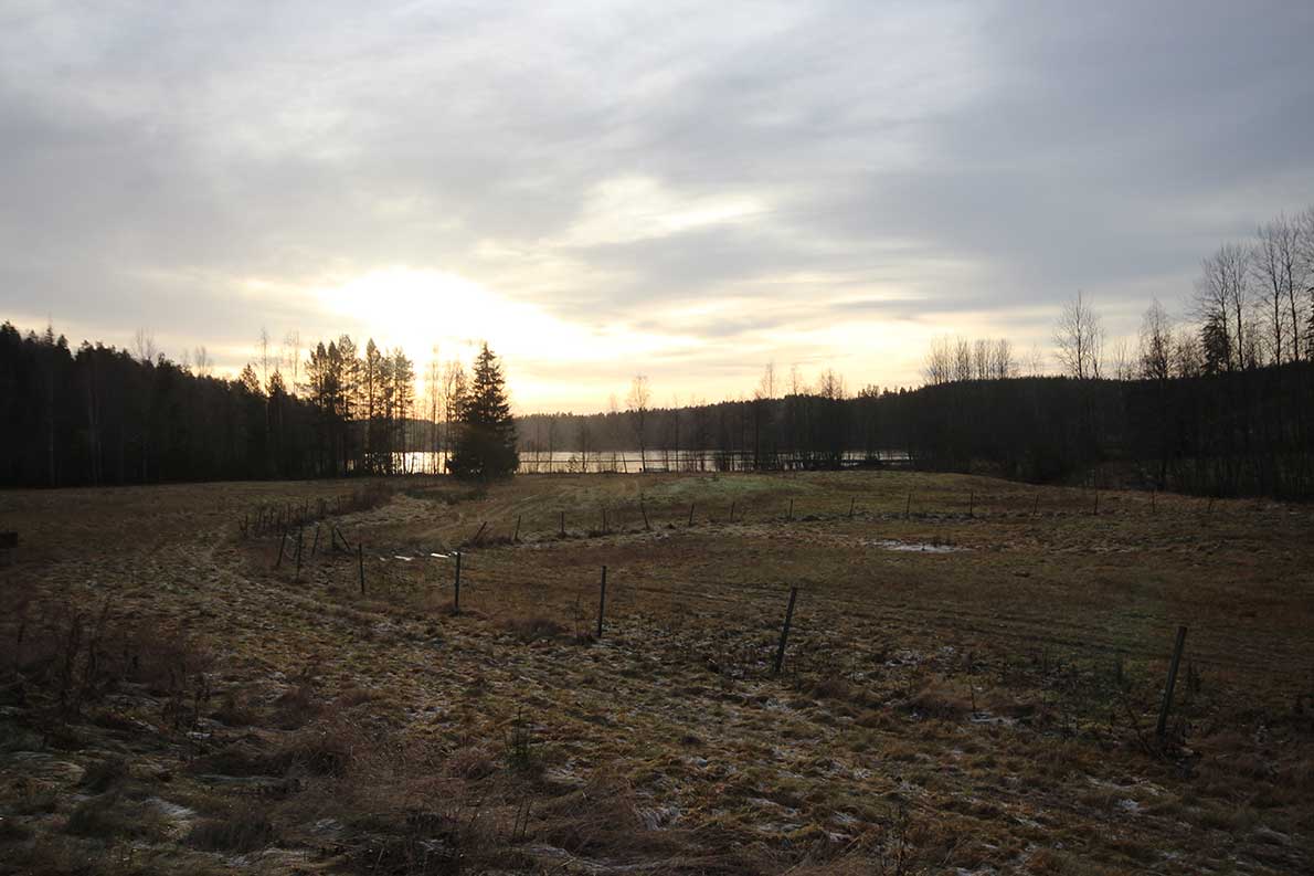 Ancylusjärvi oli nykyistä Itämerta edeltänyt järvivaihe Itämeren altaassa noin 8 900–7 200 eaa.