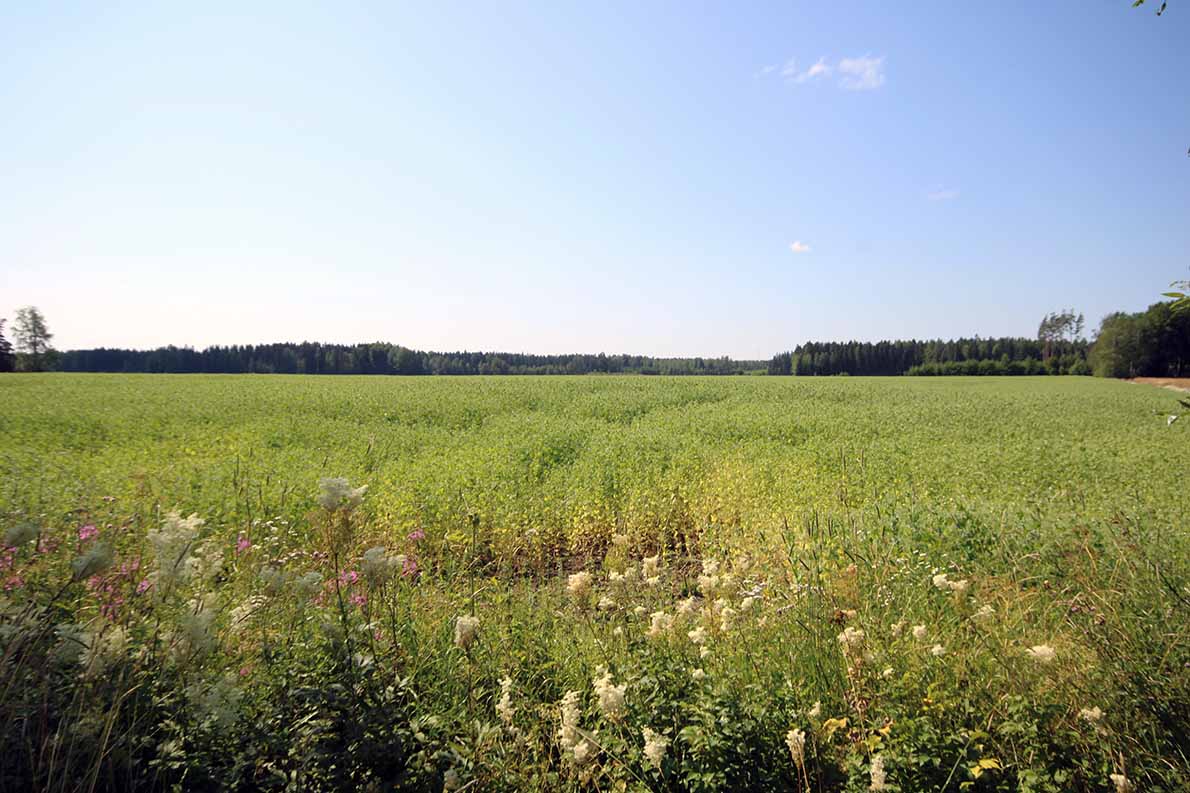 Koski Tl:n kunnan uimaranta.