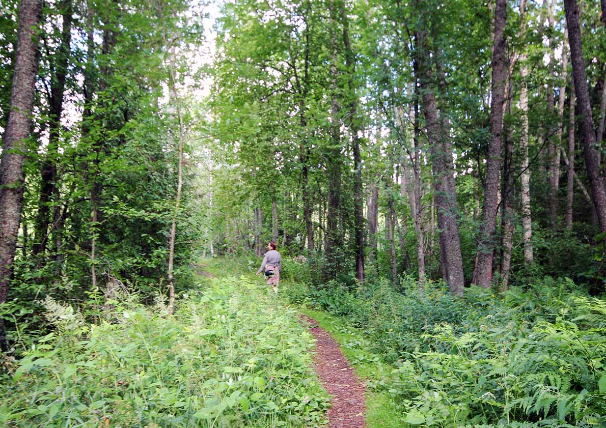 Huvisaaren uimaranta, Virolahti.