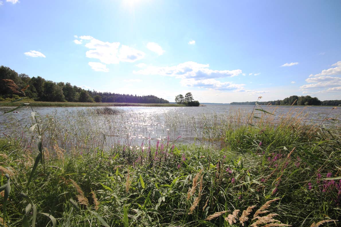 Lohjan uimarannat: Ojamon uimaranta